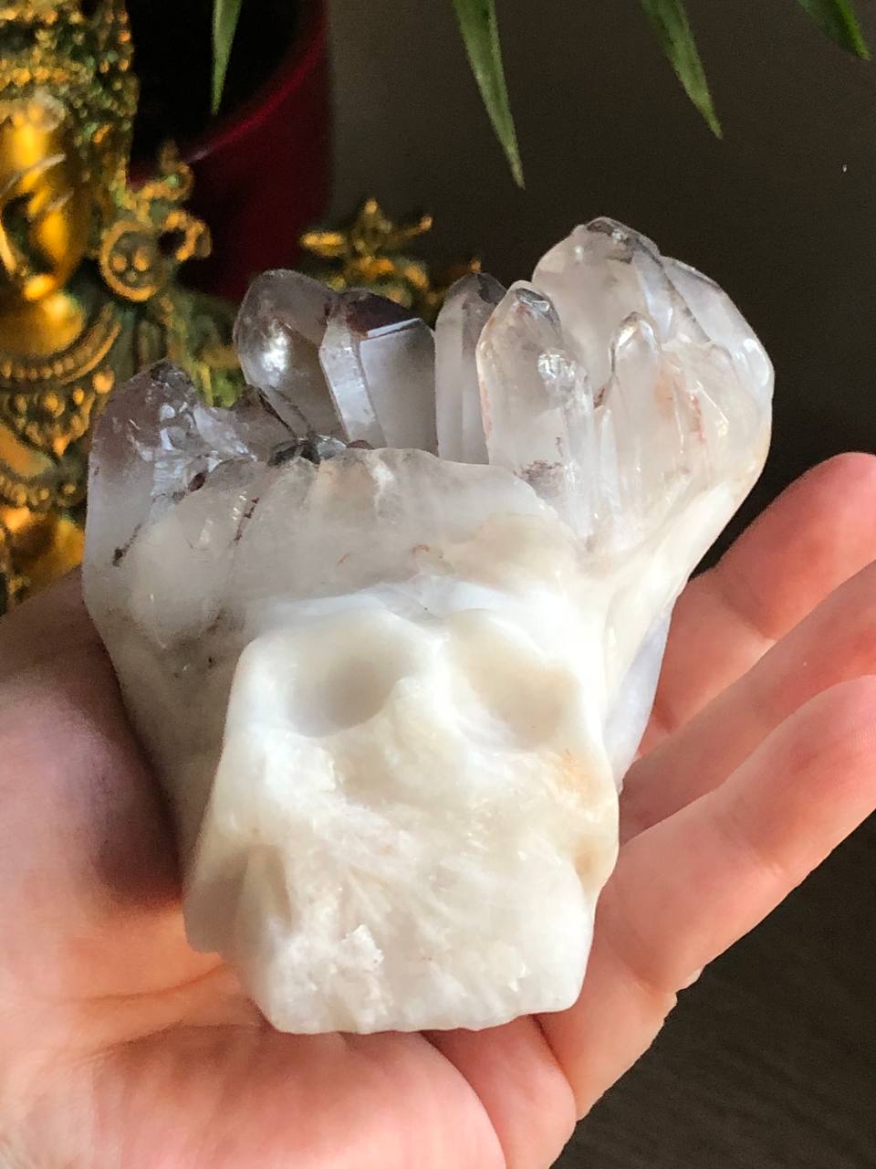 Crâne de cristal avec pointes