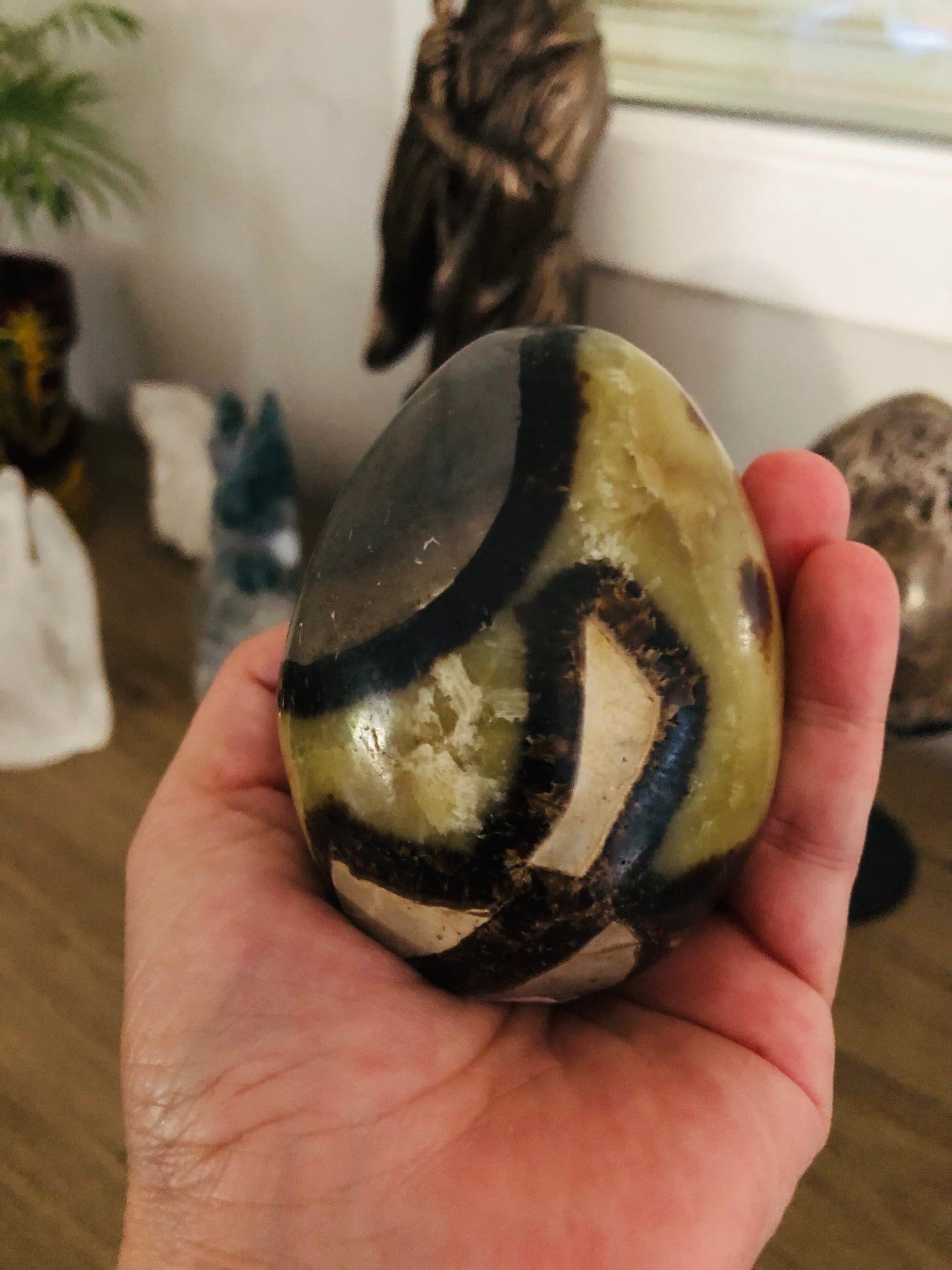 Lot 2 œufs de septaria