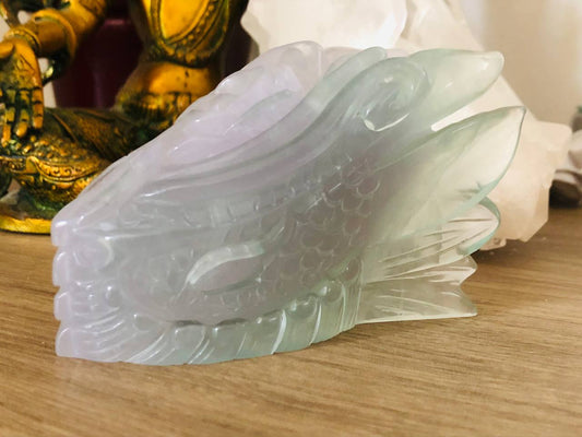 Crâne de dragon en fluorite