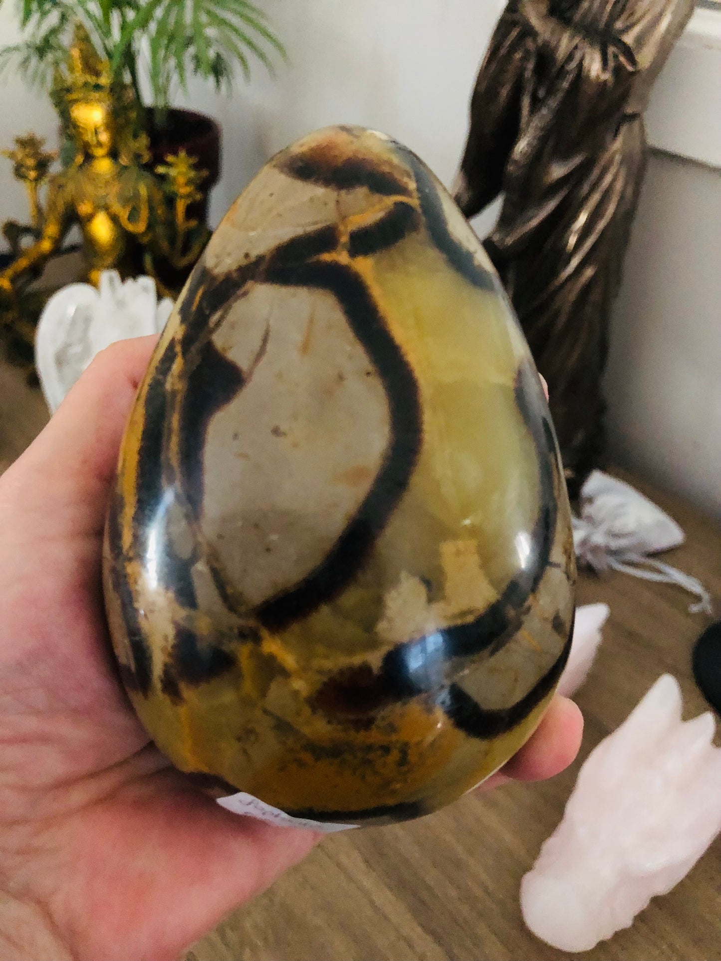 Lot 2 œufs de septaria