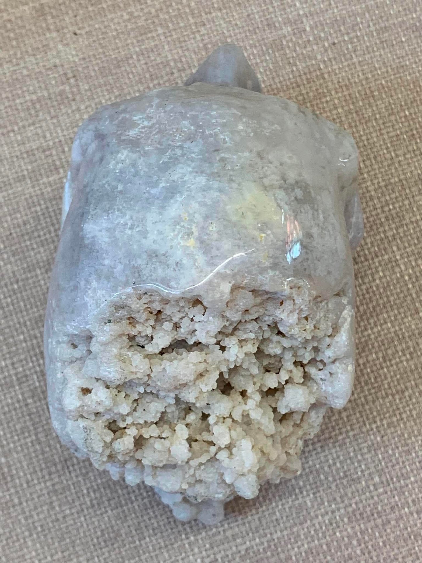 Crâne d’agate bleue naturelle (calcédoine) avec géode drusique