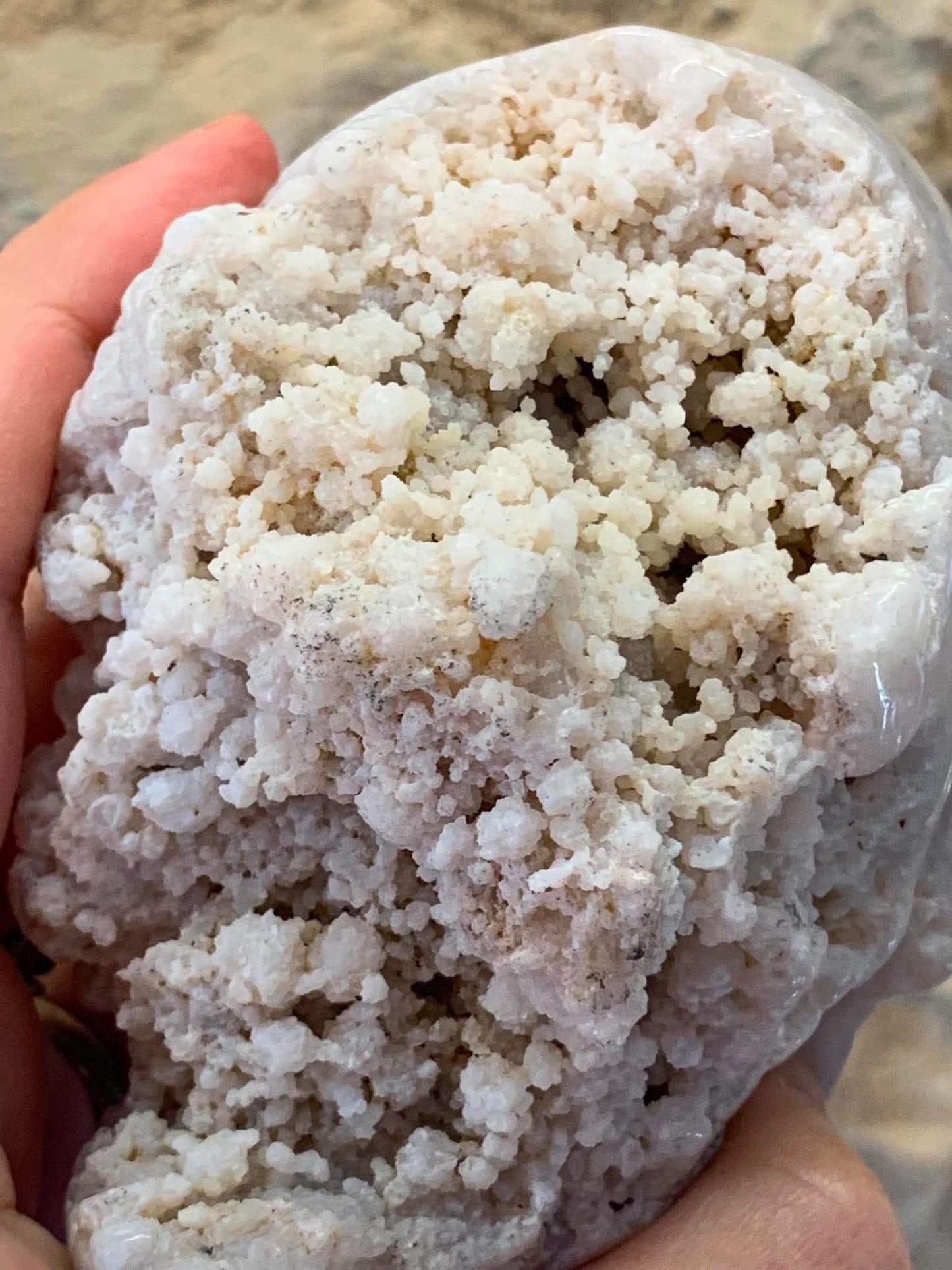 Crâne d’agate bleue naturelle (calcédoine) avec géode drusique