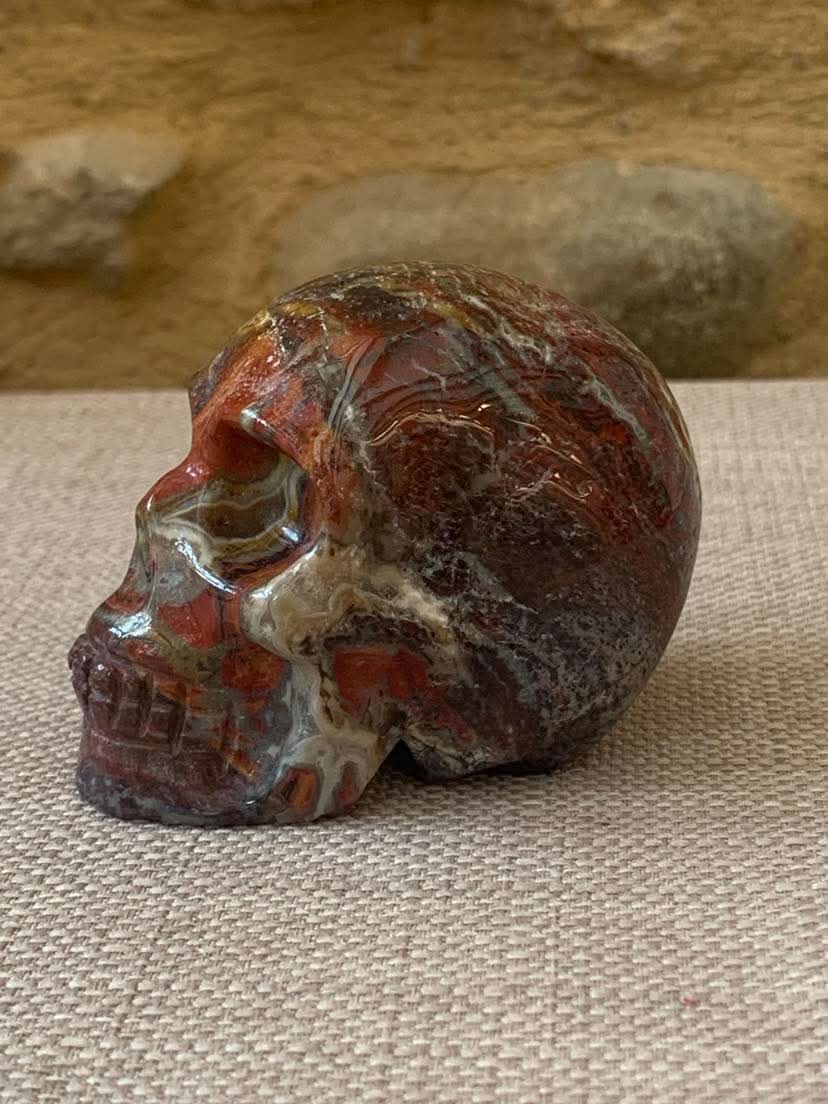 Crâne en jaspe bréchite rouge