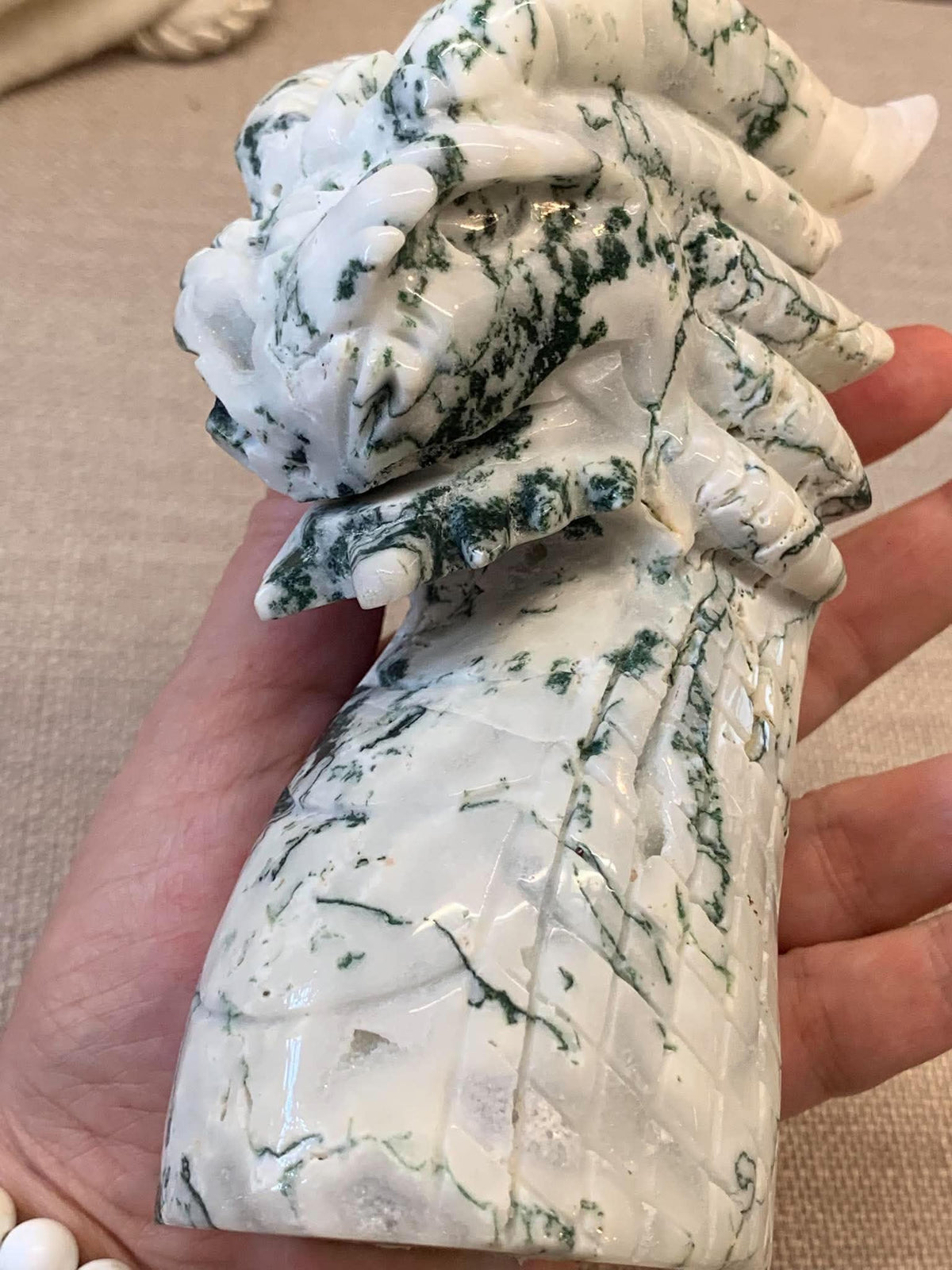 Dragon en agate arbre 🌳