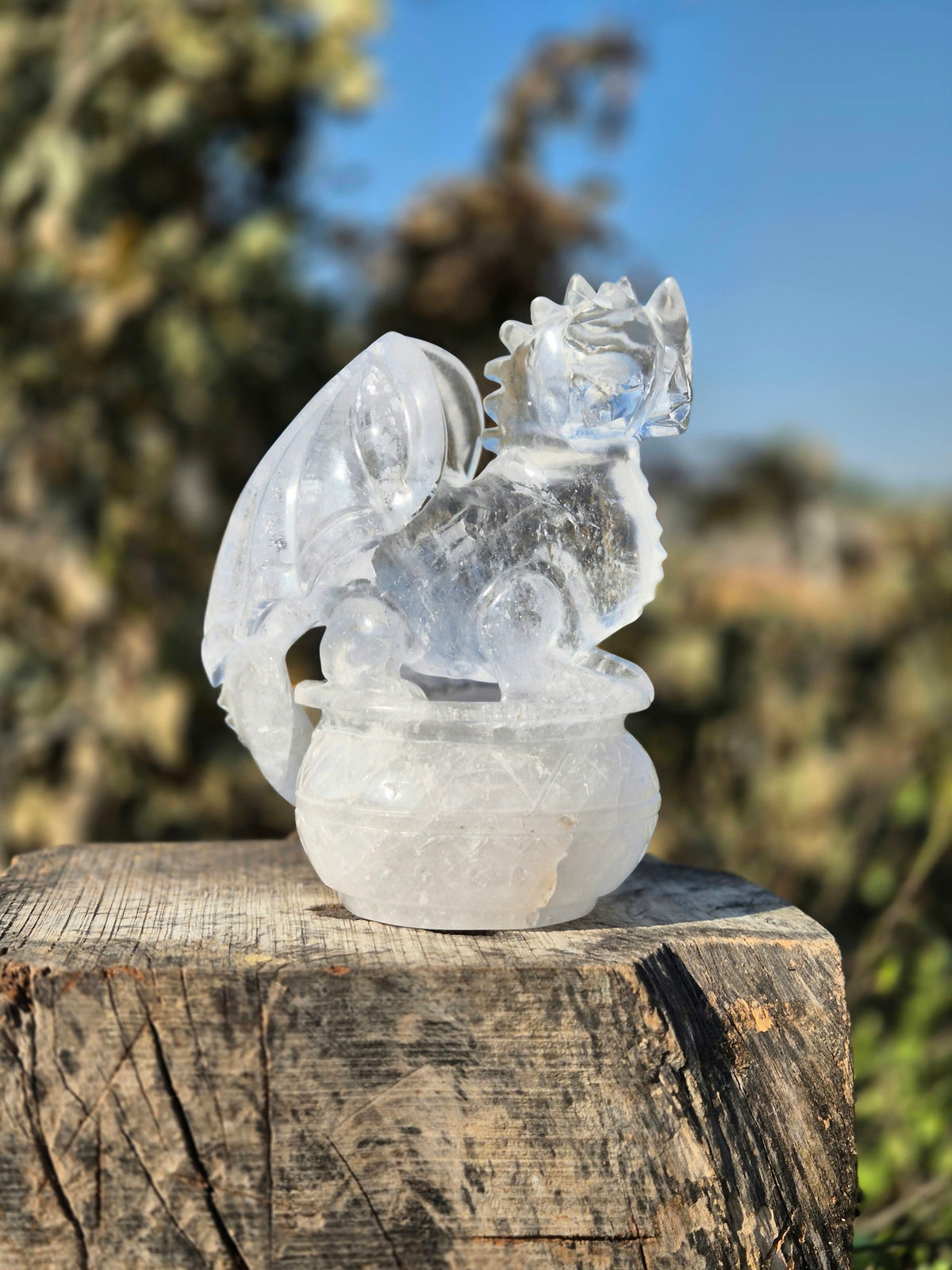PRÉCOMMANDE Dragon d’exception en cristal de roche de l’Himalaya