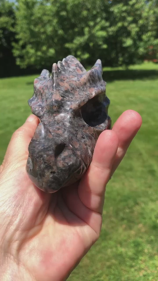 Crâne de dragon en yooperlite